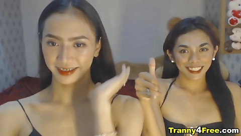 Busty shemale is licked and fucked from behind after ass